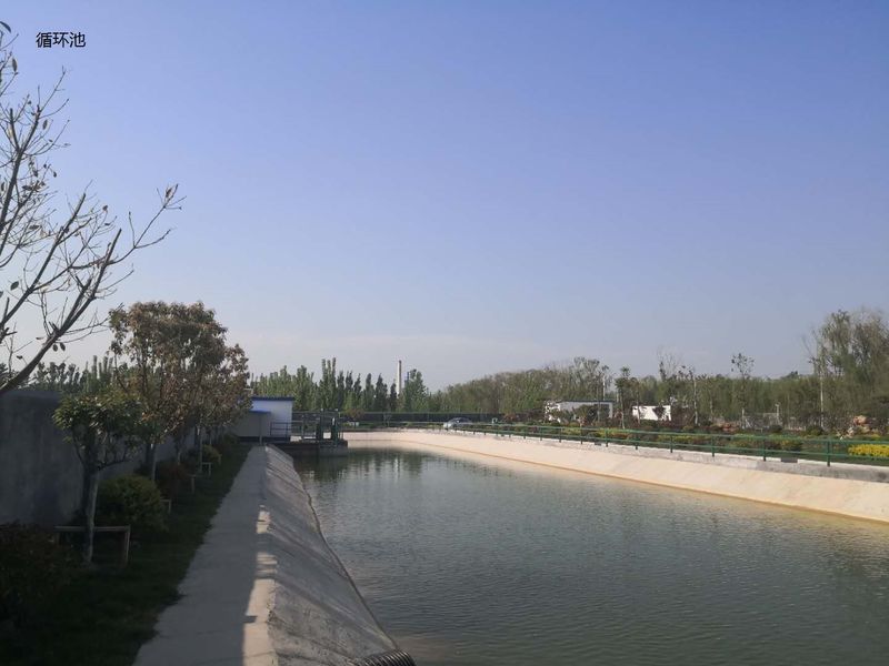Çin Shandong Xingshun New Material Co., Ltd. Şirket Profili 